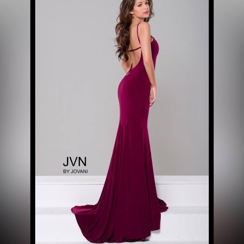 Blush Jovani Dress